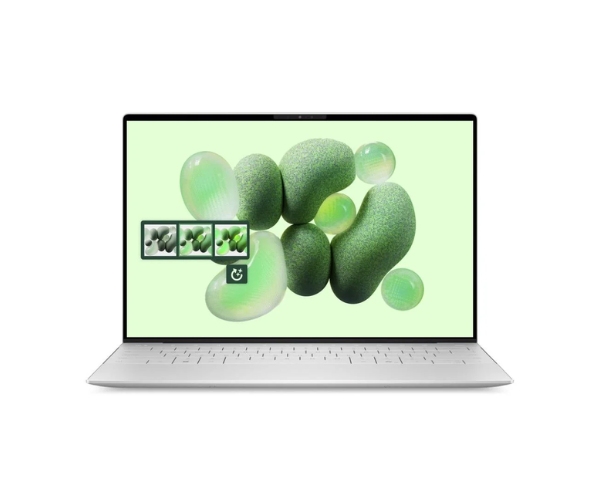 Dell TRIBUTO_QC_2501_1100P